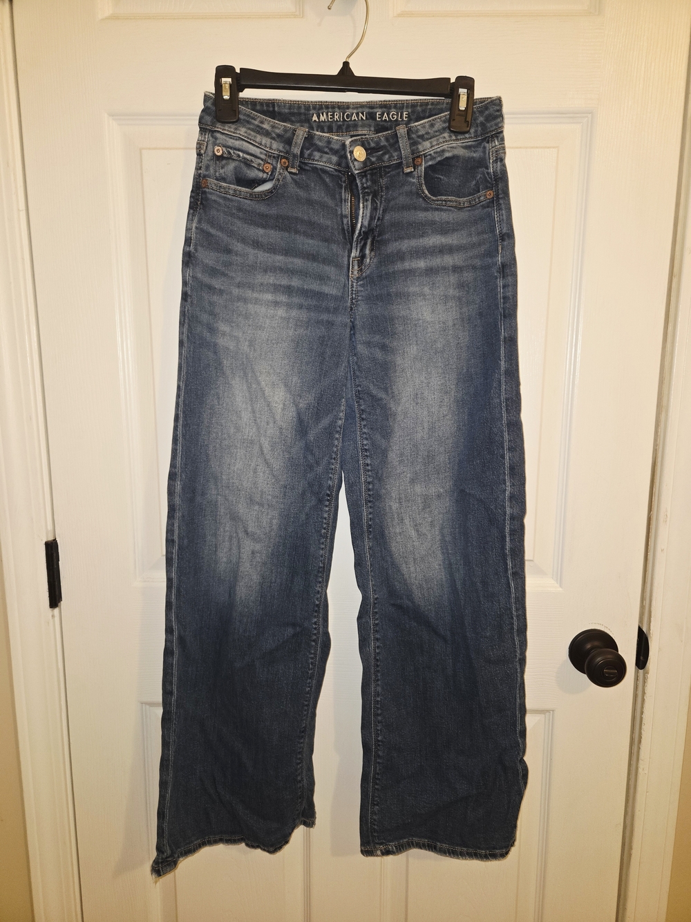 American Eagle Outfitters Low Rise Baggy Wide Legged Jeans